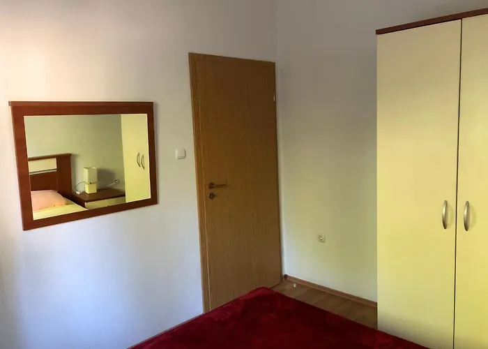 公寓 Nikola 布拉采