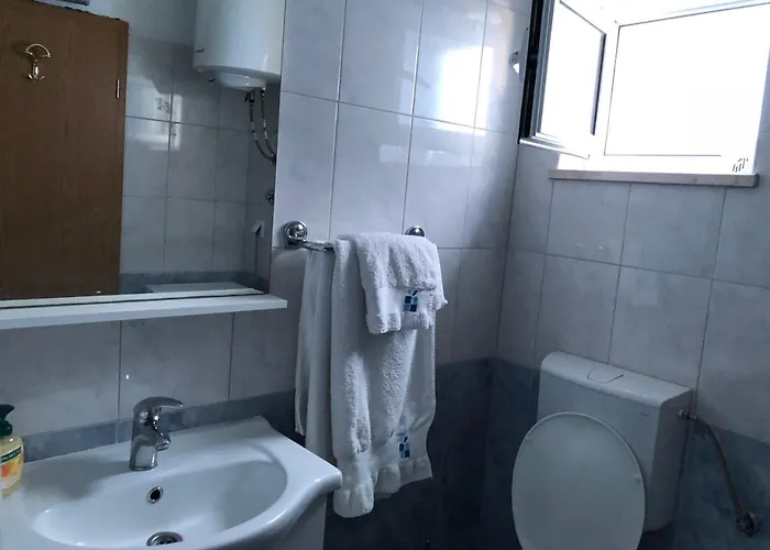 公寓 Nikola 布拉采