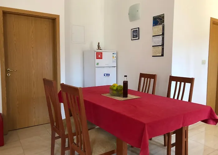 公寓 Nikola 布拉采